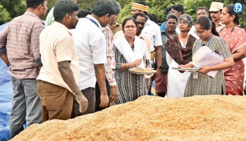 நெல் ஈரப்பதம் தொடர்பாக லால்குடி பகுதியில் ஆய்வு மேற்கொண்டனர்